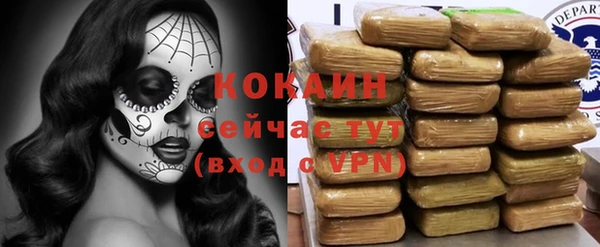 стафф Надым