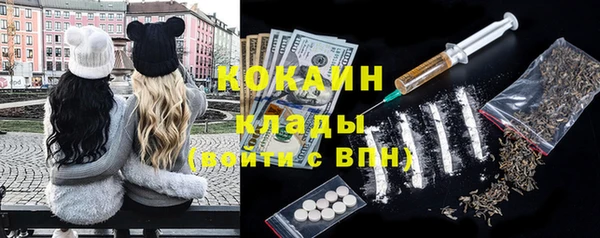 стафф Надым