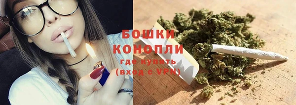 индика Навашино