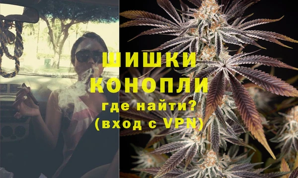 стафф Надым