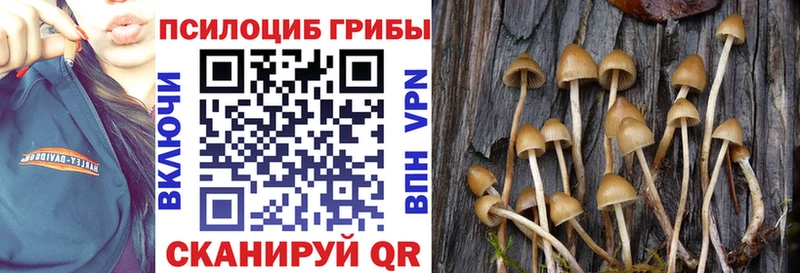 где купить наркотик  площадка как зайти  Псилоцибиновые грибы Magic Shrooms  Рыльск 